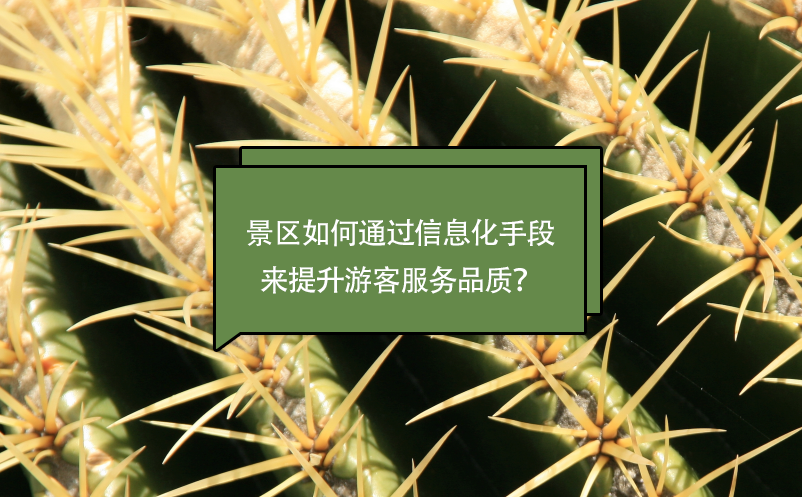 景區(qū)如何通過信息化手段來提升游客服務(wù)品質(zhì)？