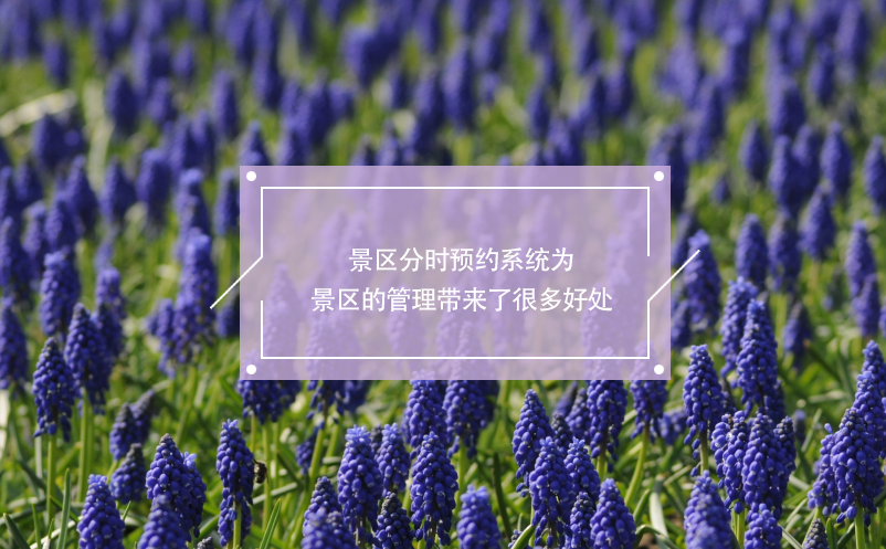 景區(qū)分時(shí)預(yù)約系統(tǒng)為景區(qū)管理帶來了很多好處