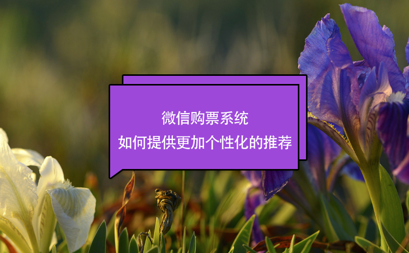 微信購(gòu)票系統(tǒng)如何提供更加個(gè)性化的推薦