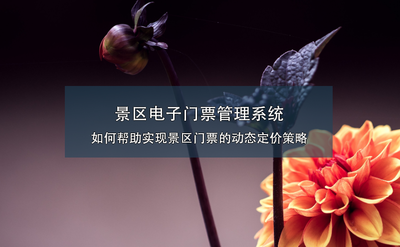 景區(qū)電子門票管理系統(tǒng)如何幫助實(shí)現(xiàn)景區(qū)門票的動(dòng)態(tài)定價(jià)策略