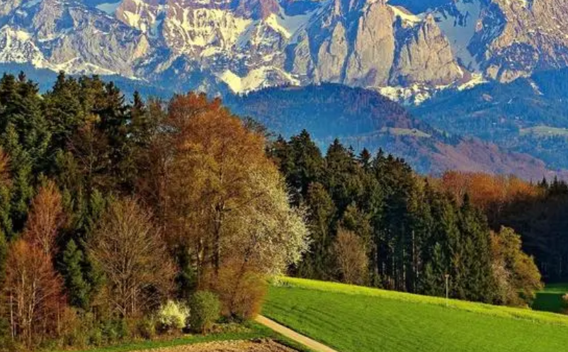 社?？ㄎ穆靡豢ㄍǎㄉ绫？ń尤刖皡^(qū)票務(wù)系統(tǒng)）