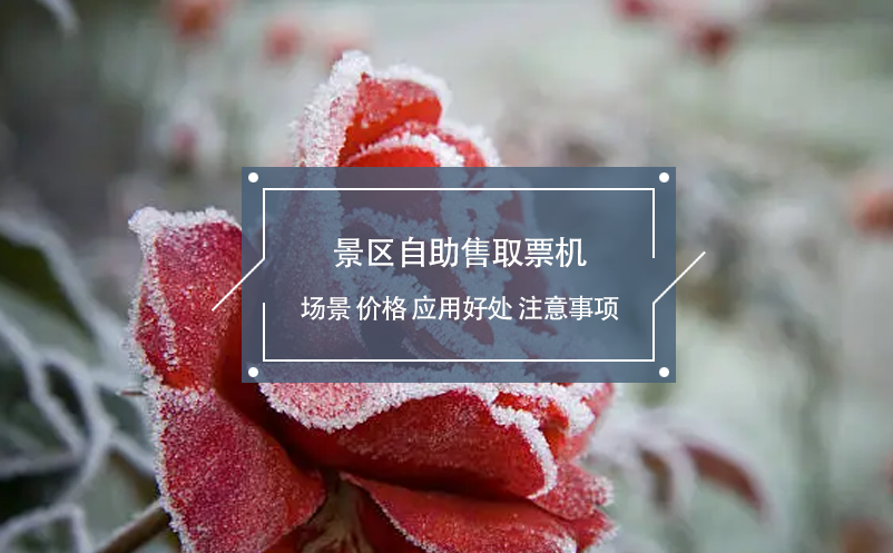 景區(qū)自助售取票機(jī)場(chǎng)景、價(jià)格、應(yīng)用好處、注意事項(xiàng)