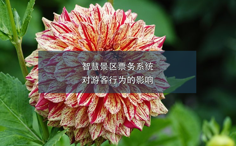智慧景區(qū)票務系統(tǒng)對游客行為的影響