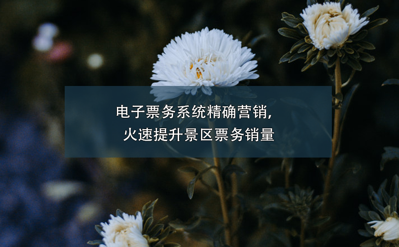 電子票務(wù)系統(tǒng)精確營銷，火速提升景區(qū)票務(wù)銷量