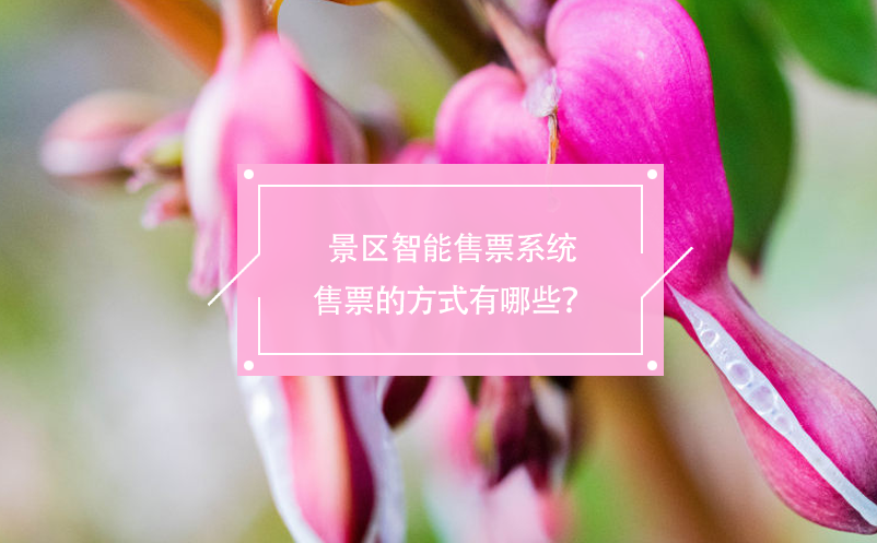 景區(qū)智能售票系統(tǒng)售票的方式有哪些？