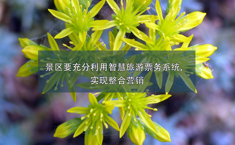 景區(qū)要充分利用智慧旅游票務(wù)系統(tǒng)，實(shí)現(xiàn)整合營(yíng)銷