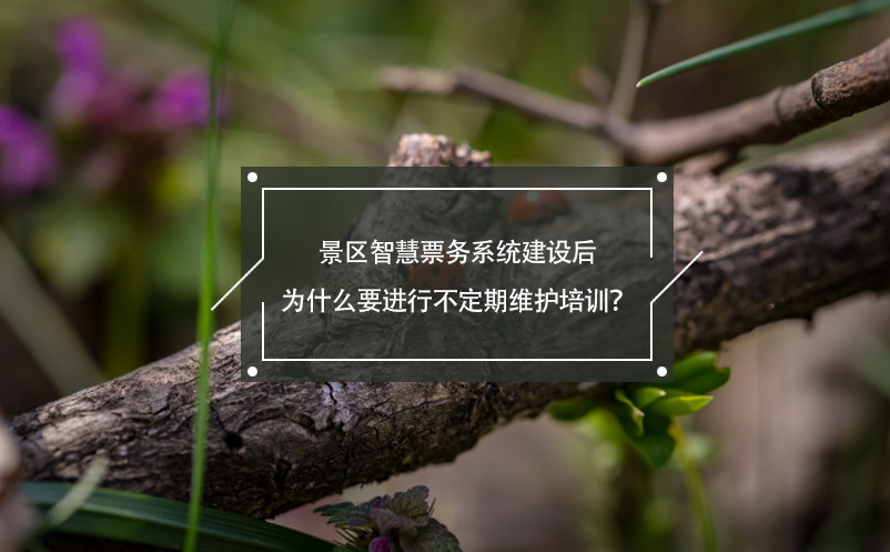 景區(qū)智慧票務(wù)系統(tǒng)建設(shè)后為什么要進(jìn)行不定期維護(hù)培訓(xùn)？