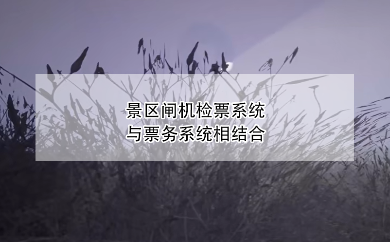 景區(qū)票務系統(tǒng)技術(shù)支持與售后服務