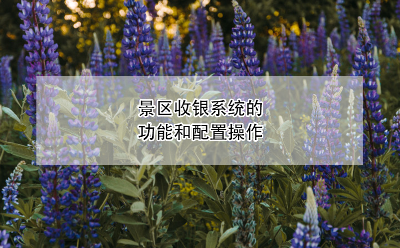 景區(qū)收銀系統(tǒng)實(shí)現(xiàn)綜合支付和統(tǒng)一結(jié)算