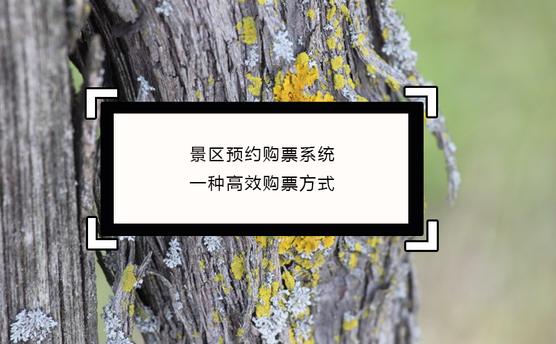 景區(qū)預(yù)約購票系統(tǒng)一種高效購票方式