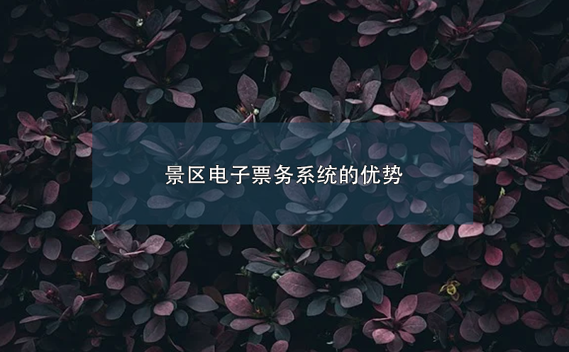 景區(qū)電子票務(wù)系統(tǒng)的優(yōu)勢(shì)