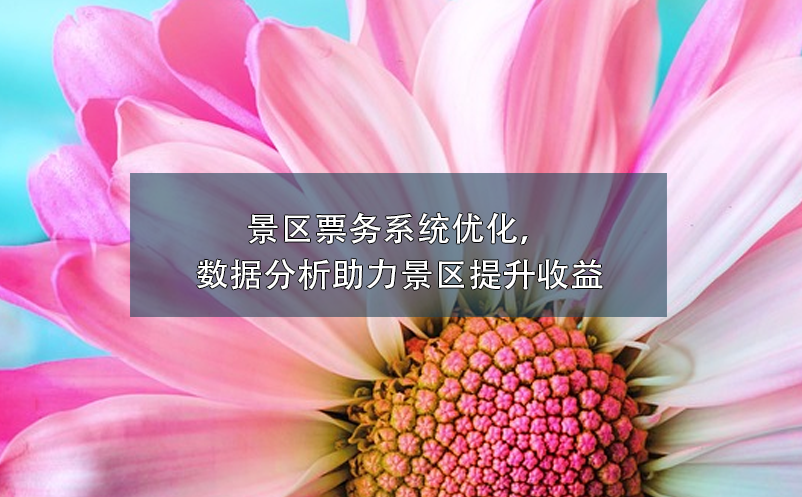 景區(qū)票務(wù)系統(tǒng)優(yōu)化，數(shù)據(jù)分析助力景區(qū)提升收益