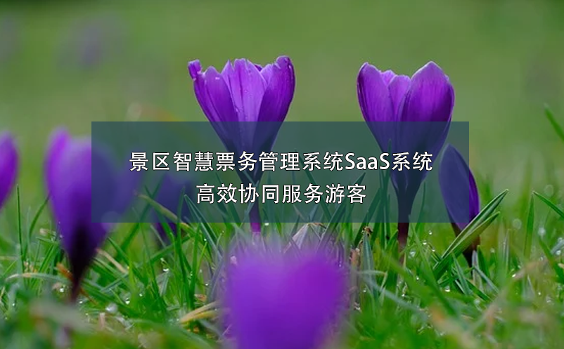 景區(qū)智慧票務(wù)管理系統(tǒng)SaaS系統(tǒng)：高效協(xié)同服務(wù)游客