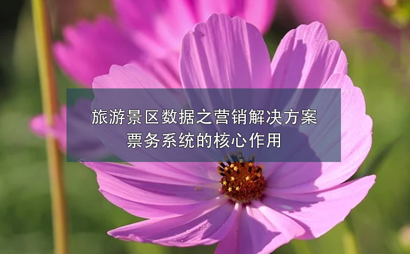 旅游景區(qū)數(shù)據(jù)之營銷解決方案：票務系統(tǒng)的核心作用