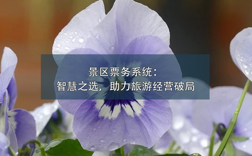 景區(qū)票務系統(tǒng)：智慧之選，助力旅游經營破局