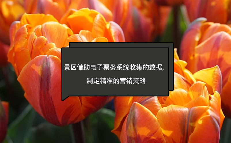 景區(qū)借助電子票務(wù)系統(tǒng)收集的數(shù)據(jù)，制定精準(zhǔn)的營(yíng)銷策略
