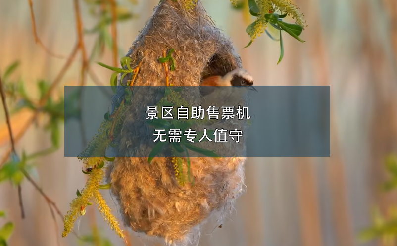 景區(qū)自助售票機無需專人值守