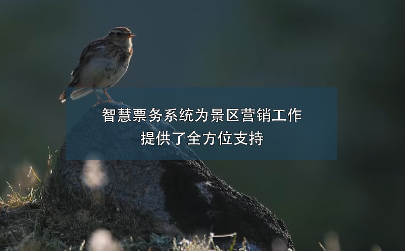 智慧票務(wù)系統(tǒng)為景區(qū)營(yíng)銷工作提供了全方位支持