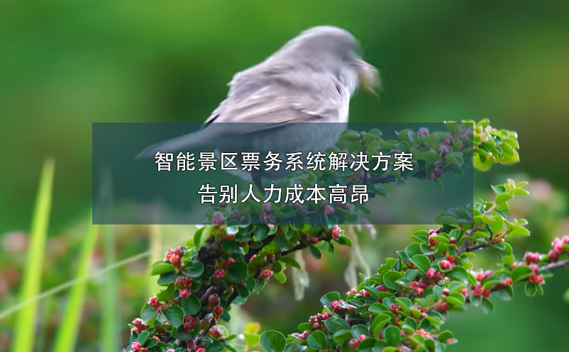 端午小長(zhǎng)假，智能票務(wù)系統(tǒng)如何在確保游客體驗(yàn)和提升景區(qū)的管理？