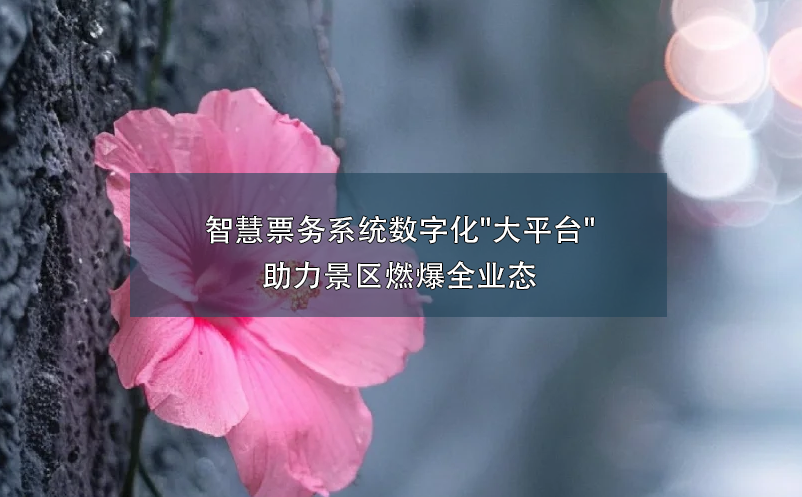 智慧票務系統(tǒng)數(shù)字化