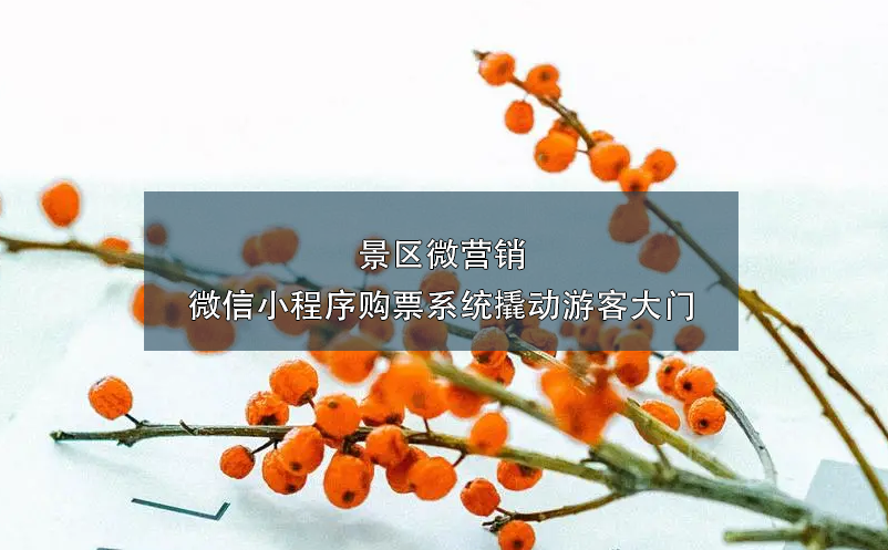 景區(qū)微營銷：微信小程序購票系統(tǒng)撬動游客大門