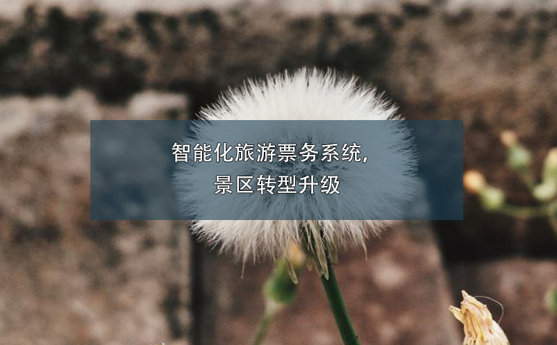 智能化旅游票務(wù)系統(tǒng)，景區(qū)轉(zhuǎn)型升級