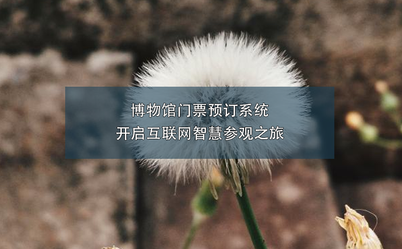 博物館門票預訂系統(tǒng)開啟互聯(lián)網(wǎng)智慧參觀之旅