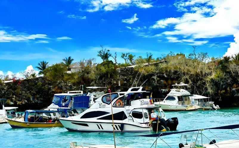 景區(qū)升級票務(wù)系統(tǒng)＝燒錢又復(fù)雜？