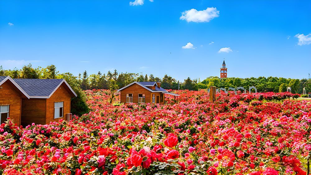 巴夫洛生態(tài)谷升級景區(qū)票務系統(tǒng)，采用易景通景區(qū)票務系統(tǒng)